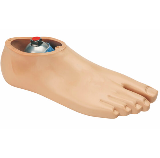 product review